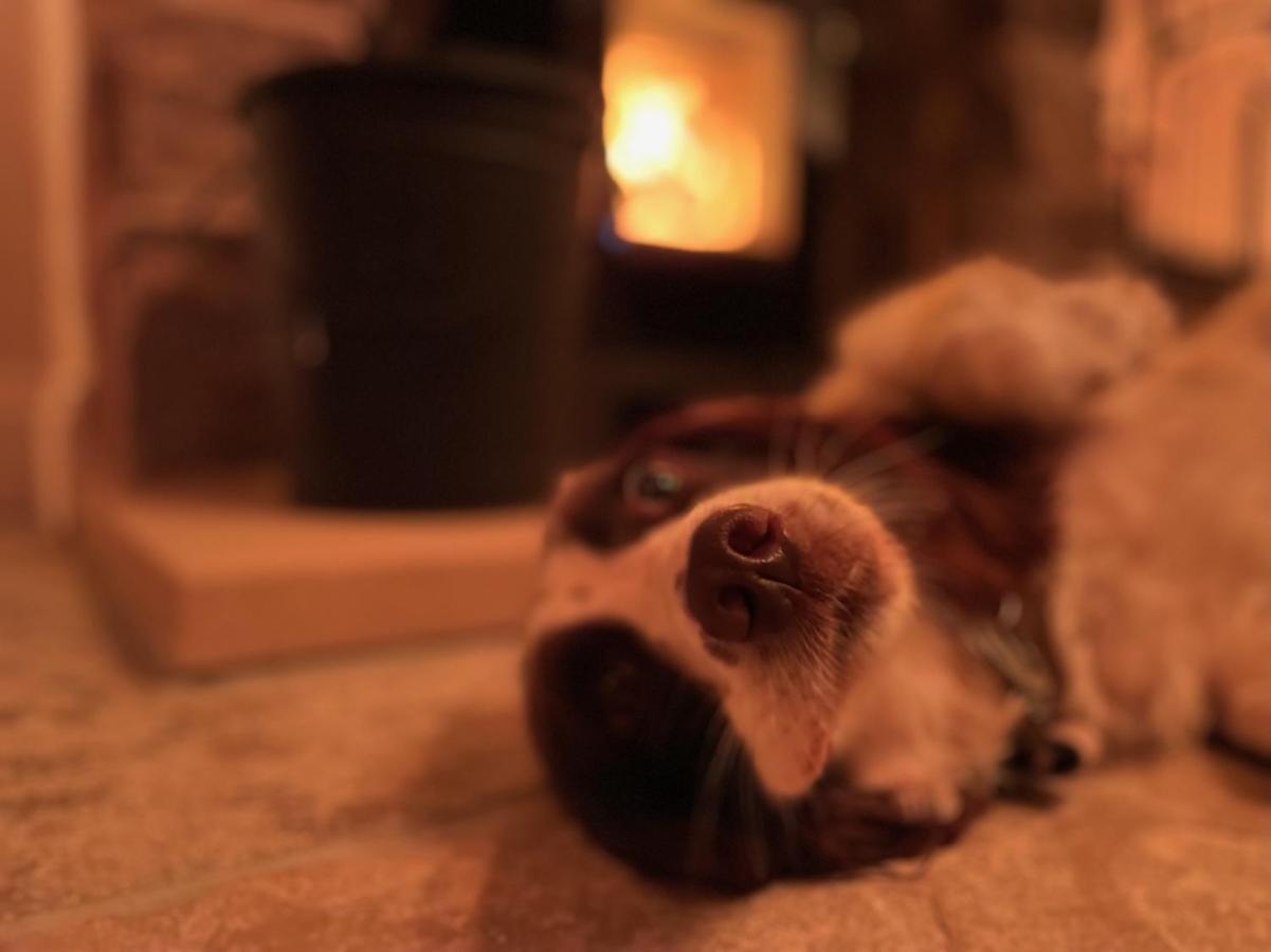 Muddy Paws Cottages - The Nook Taddington Esterno foto